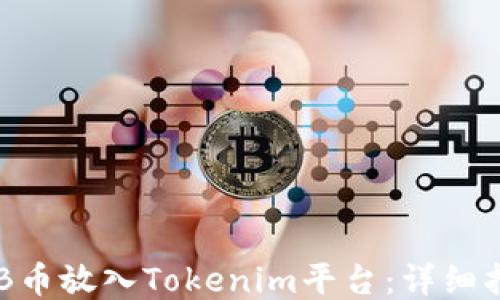 
如何把TNB币放入Tokenim平台：详细指南与技巧