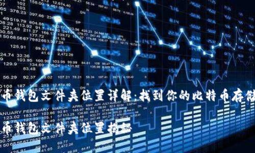 比特币钱包文件夹位置详解：找到你的比特币存储宝藏

比特币钱包文件夹位置揭秘