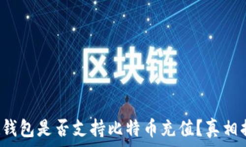   
谷歌钱包是否支持比特币充值？真相揭秘！