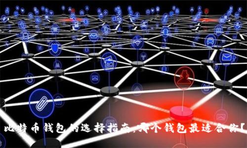 比特币钱包的选择指南:哪个钱包最适合你?
