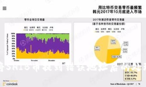 如何将SHIB币提到错误地址后的处理方法