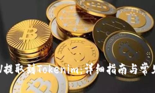 如何将BSV提取到Tokenim：详细指南与常见问题解答