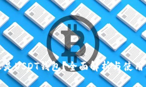 什么是USDT钱包？全面解析与使用指南