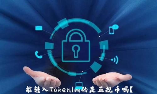 
能转入Tokenim的是正规币吗？